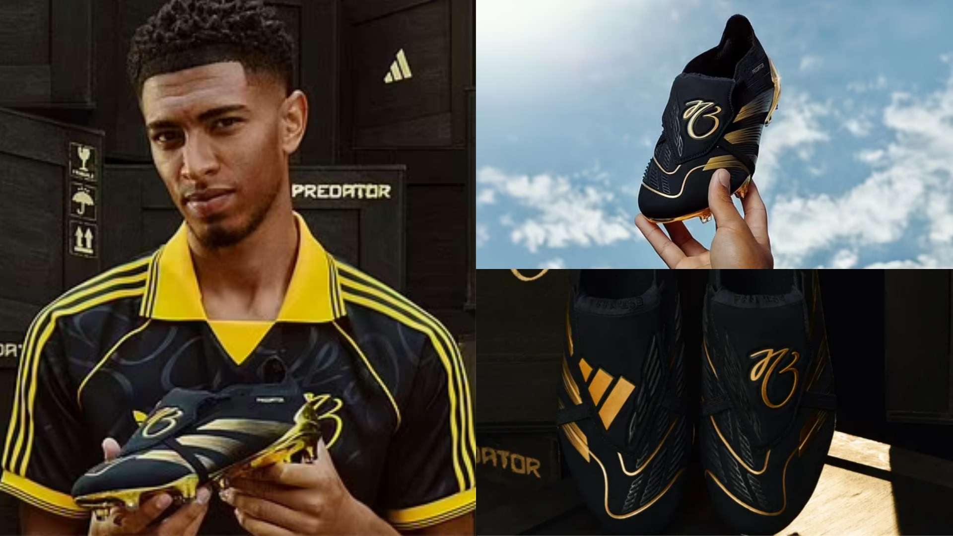 日照赛区 日照赛区