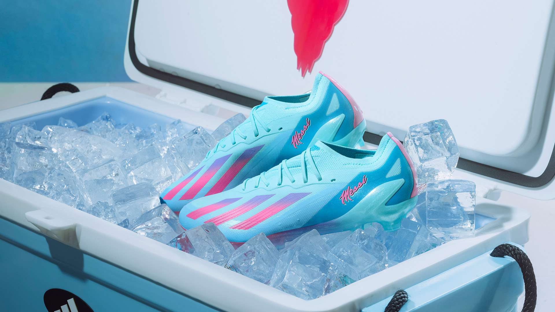 图的到来 图的到来