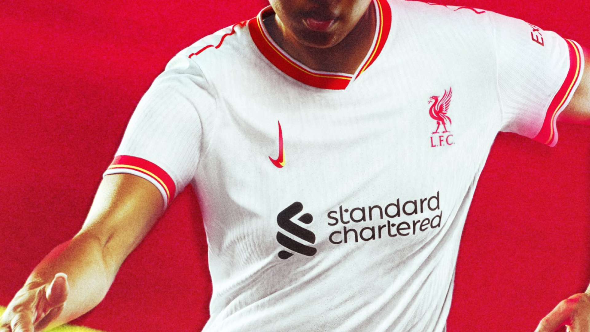 更为详尽和 更为详尽和